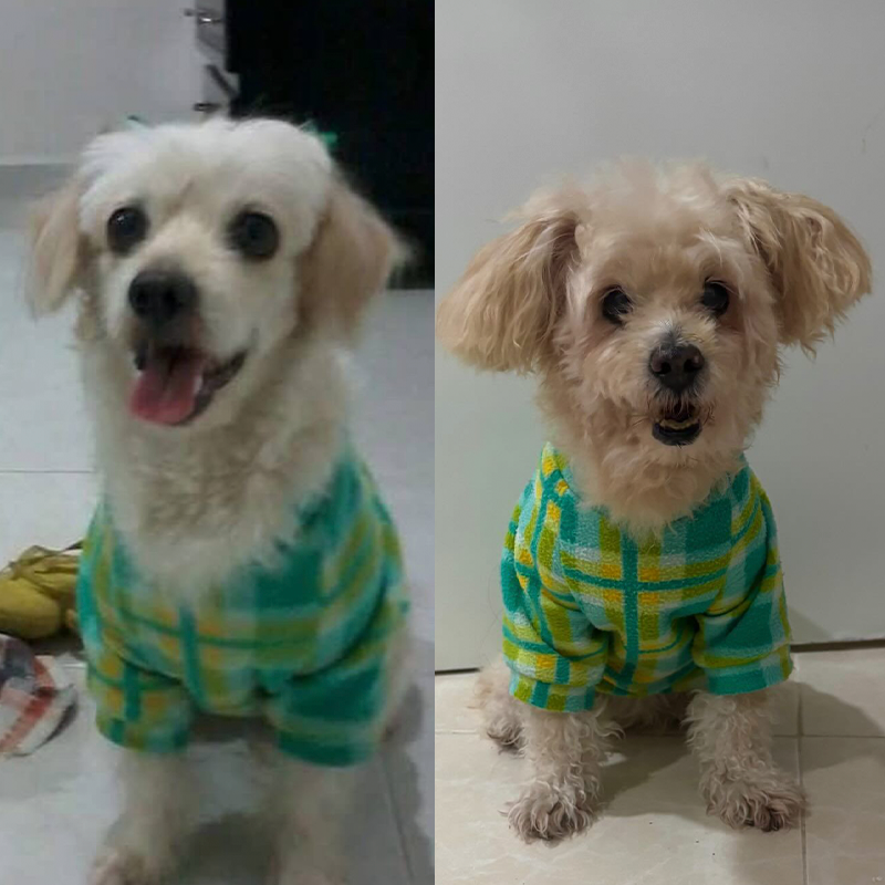 Fotografía de Kitty y Bonny con pijamas a cuadros