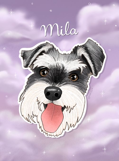 Ilustración de Mila, un schnauzer, sobre fondo morado