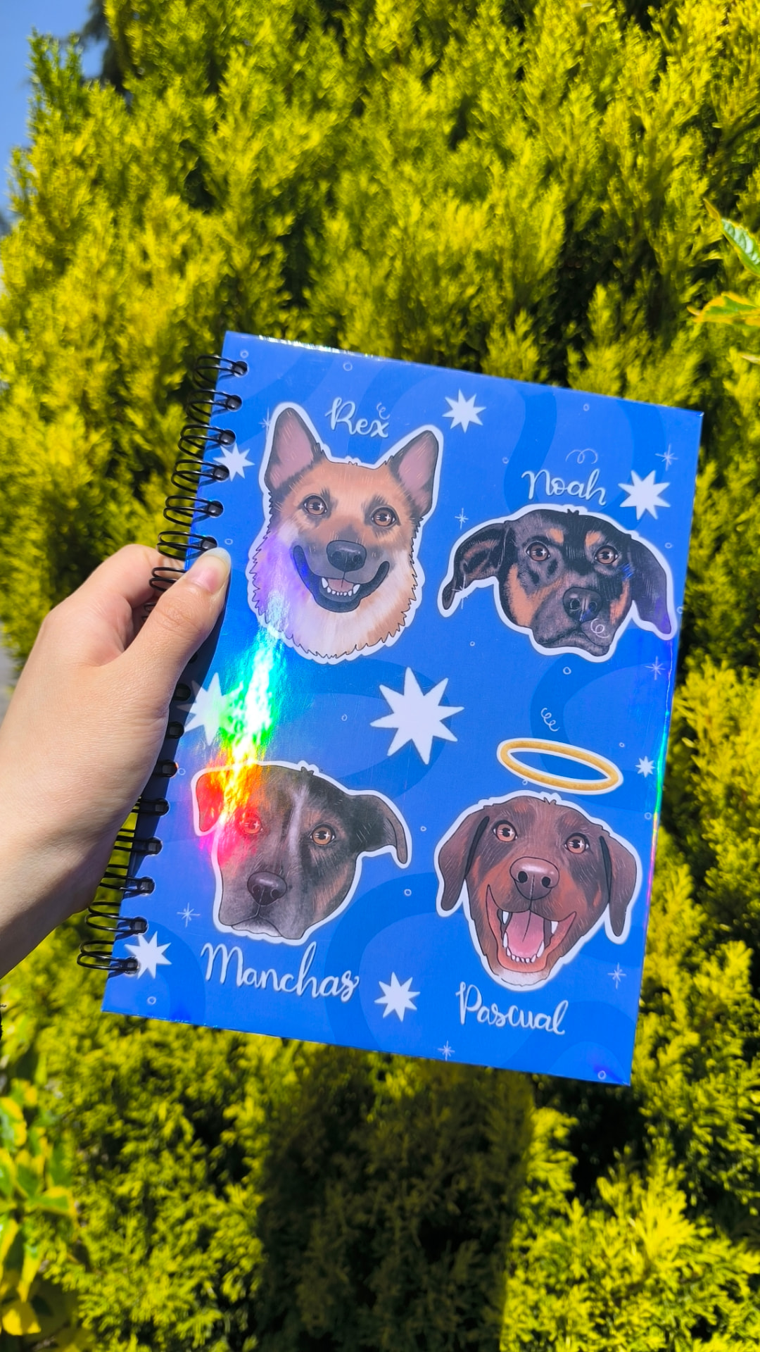 Ilustración personalizada de tres o más mascotas