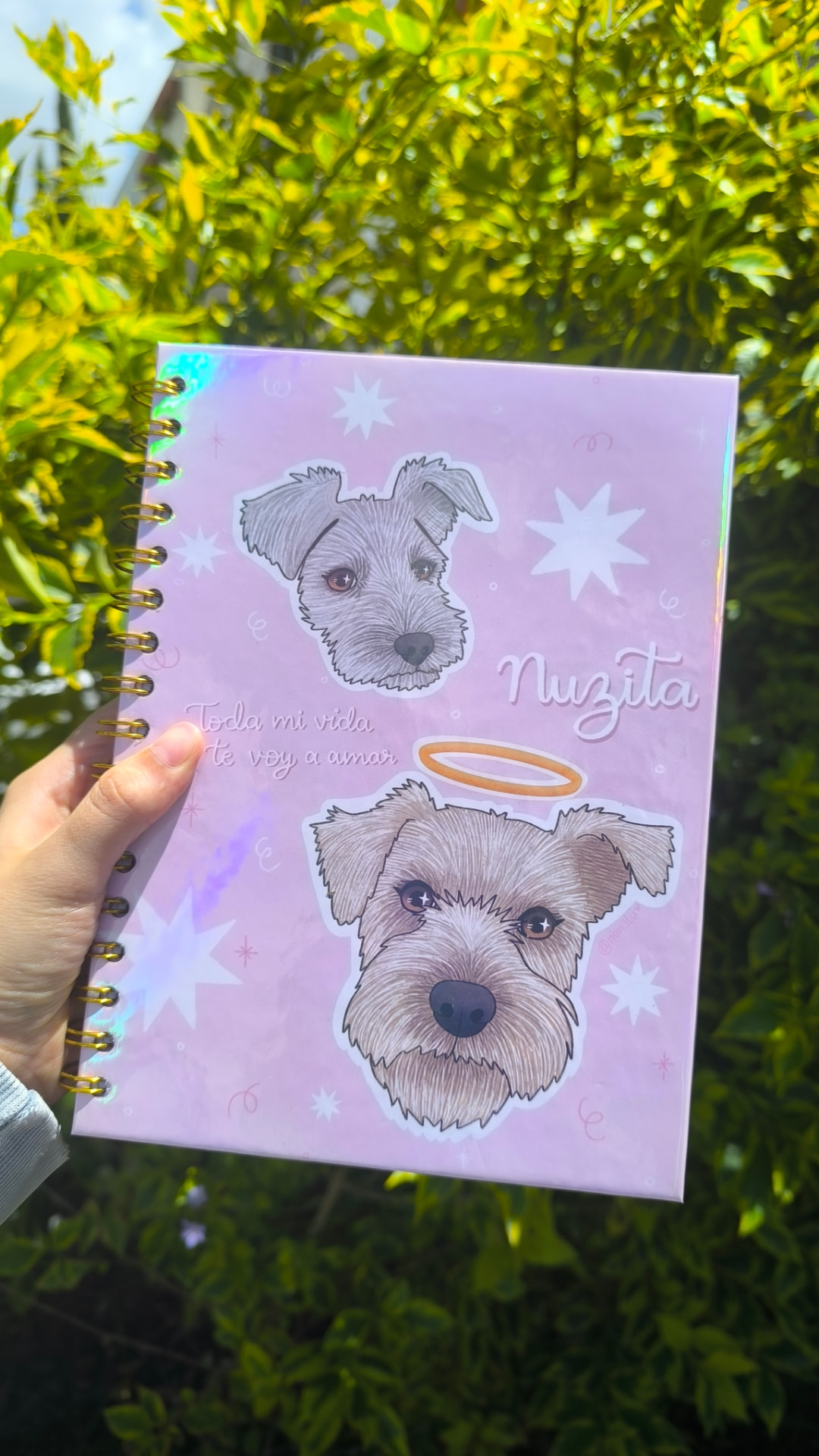 Ilustración personalizada de dos mascotas