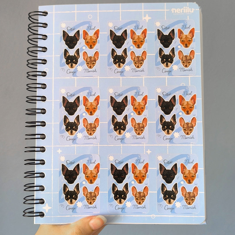 Libreta holográfica