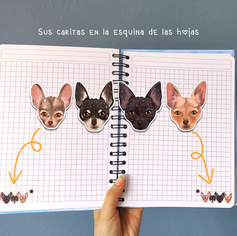 Libreta holográfica