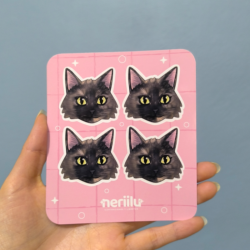 Imán de acrílico doble vista + mini planilla de stickers