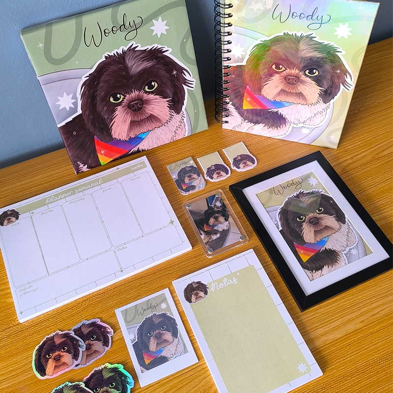 Kit 03: Libreta + Planner semanal  + Block de notas + Separadores magnéticos + Portaretratos + Imán + Stickers holográficos + Cuadrito 20x20cm